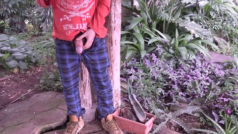 Un amateur, punk rock, pisse